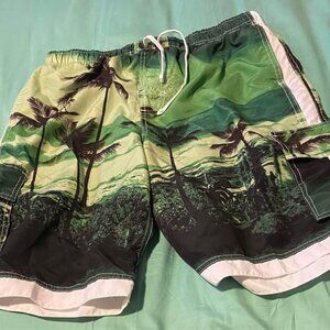 Ingear Forest Green Background Palm Trees Beach Shorts